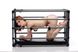 Міцна розбірна клітка для покарань Kennel Adjustable Bondage Cage SO4425 фото 3